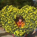 도립화목원 이미지