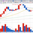 (주)엑스바이오 이미지