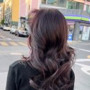바이올렛샵 | [헤어 컬러 추천] 고급스러운 분위기의 끝판왕, '와인 바이올렛' 컬러 염색 (시술 후기)