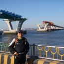 장항도선장앞 광장 이미지