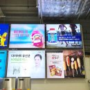 코스트코 음식 추천상품 내가 먹어본 맛 후기