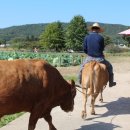 정승농장 이미지