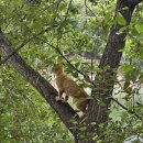 반월호수둘레길 화장실 | [10월 1주 차] 가족들과 산책하기 좋은 마장호수 둘레길 방문 후기