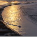 순천만습지 이미지