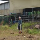 세진농장 이미지