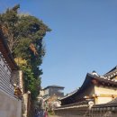 북촌박물관 | 6천 원의 행복! 한옥 기와뷰가 내려다보이는 '북촌동양문화박물관' 카페 힐링 후기 (feat. 한폭의 동양화)