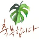 쓰담쓰담 그림책테라피 이미지