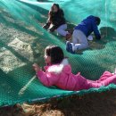 금병초등학교 병설유치원 이미지