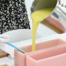 휴먼앤펫 이미지