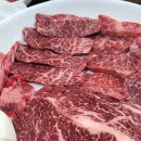 두메산골터줏대감 이미지