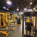 슬림한 바디 이미지