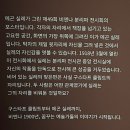 [일상] 비엔나 1900 꿈꾸는 예술가들 전시 후기
