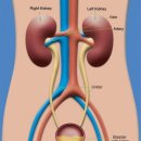 용치과의원 이미지