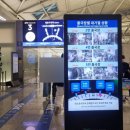 서10-405 | 이탈리아 여행 시작! 가성비 갑 티웨이항공 TW405편 로마 직항 기내식 간식 꿀팁