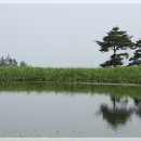 순천컨트리클럽 이미지