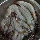 아울렛디씨마트