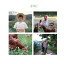 횃대둥우리 이미지