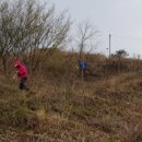 기찬농장 2 이미지