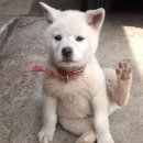 서울시립대학교 대학원 이미지