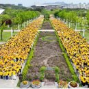 의료법인 새생명의료재단 | 한 걸음 두 걸음 함께 걸으며 제24회 새생명 사랑 가족걷기대회 국제위러브유운동본부(회장 장길자)