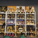 와이낫짐 이미지