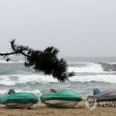 경포12호