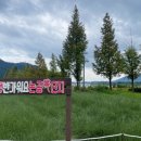 논공공단주유소 이미지