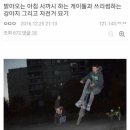 취향 이미지