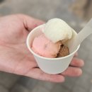 안산법원점심단체모임 ㅣ 초부리김치찌개 고잔본점 솔직후기