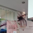 송소현산부인과의원 네이버블로그