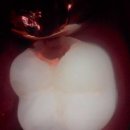 똑디치과의원 이미지