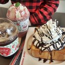 솔라그라티아 이미지