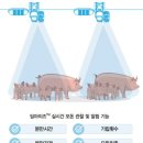 센 이미지