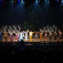 어린이뮤지컬 피노키오 이미지