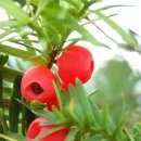 ❒오늘의 역사(11월15일)❒ 이미지