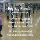 올댓라인댄스 동영상 - Hey Big Spender 이미지