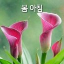 시련으로부터 도망치지 마라 이미지