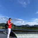 무릉도원면-26 이미지