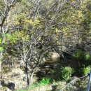 구룡부동산중개인사무소 이미지