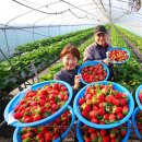 맛.보이소 이미지