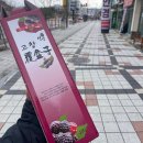 비비 - 밤양갱 🫶🏻