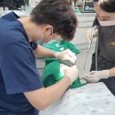 백년미소치과의원 이미지