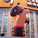 수변풍천장어 | 부산장어 독보적 1위 장덕풍천장어 광안본점, 산삼배양근에 장어환까지? 자포니카 장어맛집