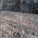 중로2-650 이미지