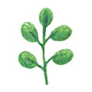 영팔이 황토펜션 이미지