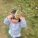 하나렘어린이집 이미지