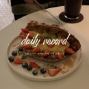 데일리레코드(daily record) 이미지