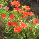 윤하농장 이미지