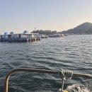 원전항 | 창원 마산 원전항 낚시 선상 펜션 다녀온 후기