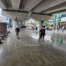 강호 해솔 태권도 이미지